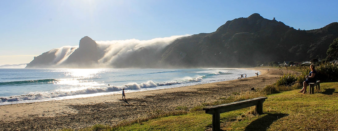 beautiful beaches of Northland