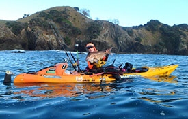 explore the bay with a sea kayak